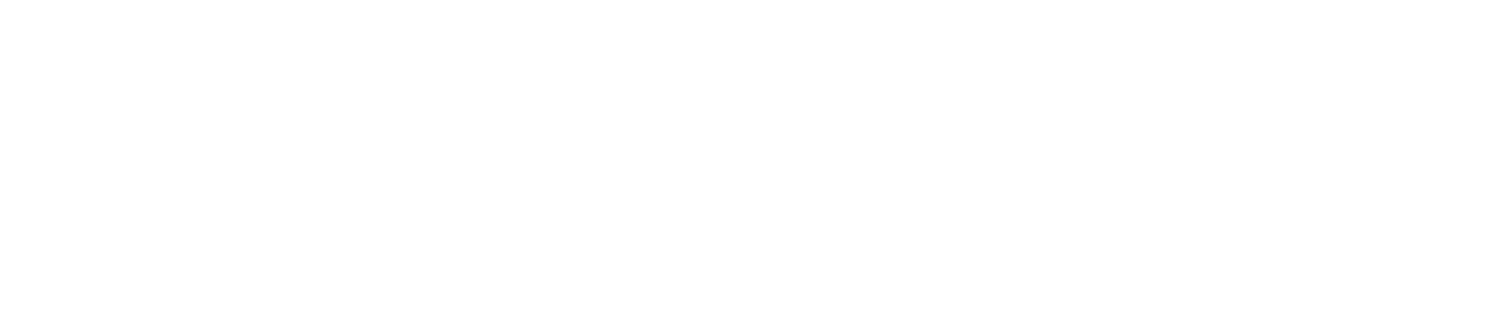 S-Mobility